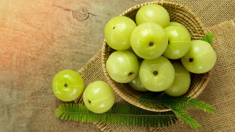  প্রতিদিন আমলকী খেলে ত্বকের যেসব উপকার হয়