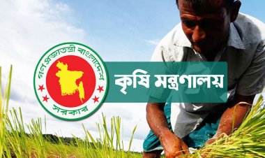  পেঁয়াজসহ ১০ ফসলের উৎপাদন বাড়াতে ১৮৯ কোটি টাকার প্রণোদনা