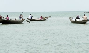 নদীতে মিলছে না ইলিশ