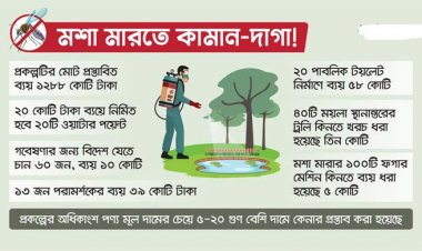 মশা মারা শিখতে বিদেশ ভ্রমণ, ব্যয় ১০ কোটি