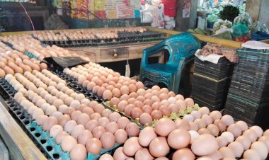 ডিম নিয়ে কারসাজি: দশ প্রতিষ্ঠানের বিরুদ্ধে মামলা করছে প্রতিযোগিতা কমিশন