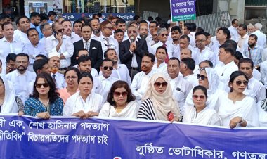 বিচারপতিরাও রাজনীতির মাঠে নেমেছে : জয়নুল আবেদীন