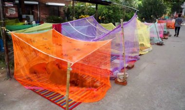 ডেঙ্গুতে ২০ জনের মৃত্যু, হাসপাতালে ২৬৮৯