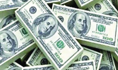 ডলার সিন্ডিকেট শনাক্তে নজরদারিতে ৩ সংস্থা