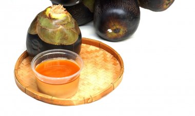 তাল খাওয়ার উপকারিতা