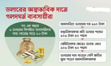 ডলারের অস্বাভাবিক দামে গলদঘর্ম ব্যবসায়ীরা