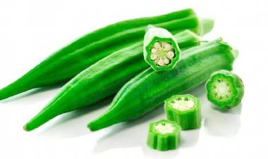 যেভাবে দীর্ঘদিন টাটকা রাখবেন ঢেঁড়শ