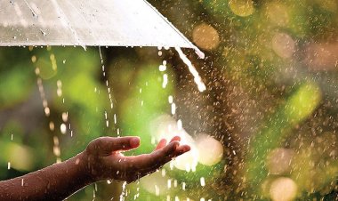 দুপুরের মধ্যে ঢাকাসহ ১৩ জেলায় বজ্রবৃষ্টির আভাস