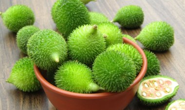 কাঁকরোল খেলে কী হয়