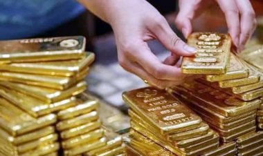 কাস্টমসের আটজন গ্রেফতার, উদ্ধার ৯৪ ভরি সোনা