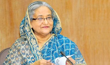 মশা মেরে শেষ করা যাবে না, নিজেদের সচেতন হতে হবে: প্রধানমন্ত্রী