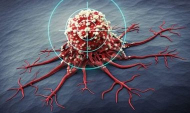 দেশে বছরে আড়াই লাখ মানুষ ক্যানসার আক্রান্ত হচ্ছে