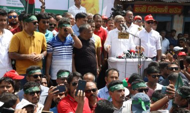 সরকারের পতন না হওয়া পর্যন্ত রোডমার্চ চলবে: মির্জা ফখরুল