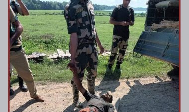 চুয়াডাঙ্গা সীমান্তে বিএসএফের গুলিতে বাংলাদেশি নিহত