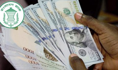 ডলারের দাম আর বাড়বে না, ‘কমবে’