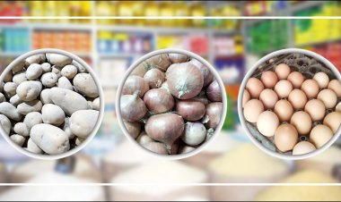 দাম কমেনি ডিম-আলু-পেঁয়াজের, উল্টো পাইকারিতে বাড়তি দরের অভিযোগ