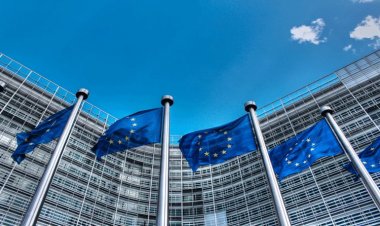 ইইউ পার্লামেন্টের প্রস্তাব পাশ, বাংলাদেশে যে প্রভাব পড়ার শঙ্কা