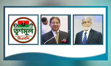 তৃণমূল বিএনপির চেয়ারম্যান শমসের, মহাসচিব তৈমুর