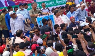 এই সরকারকে আমি রেজিম বলি: আমির খসরু