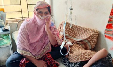 হাসপাতালে সরকারি মশারি জুটছে না ডেঙ্গুরোগীদের কপালে