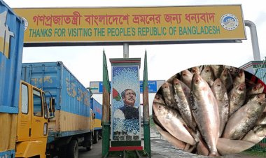 ১০ ডলার কেজি দরে ৪৫ টন ইলিশ গেল ভারতে