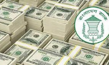 রিজার্ভের পতন ঠেকাতে ডলার বিক্রি কমিয়ে দিলো কেন্দ্রীয় ব্যাংক