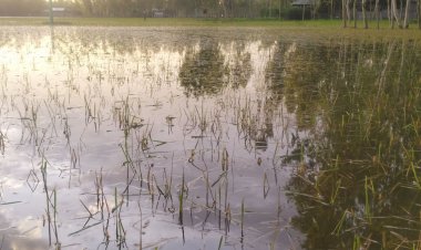  কুড়িগ্রামে বন্যায় ৪ কোটি টাকার ফসল নষ্ট