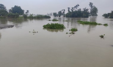 তিস্তার পানি বিপৎসীমার ওপরে, নিম্নাঞ্চল প্লাবিত