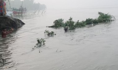 কুড়িগ্রামে বিপৎসীমার ওপরে তিস্তার পানি 