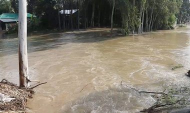 নওগাঁয় বাঁধ ভেঙে ১০ হাজার পরিবার পানিবন্দি