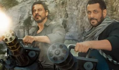 টাইগার-৩ : শাহরুখ-সালমানের টানা ১০ মিনিটের অ্যাকশনে যা থাকছে