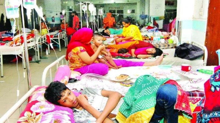 ডেঙ্গুতে একদিনে রেকর্ড ২১ জনের প্রাণহানি