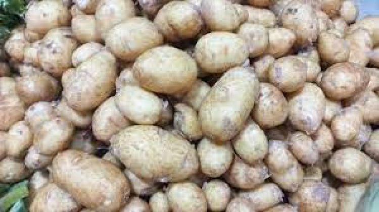 আলু নিয়েও কারসাজি