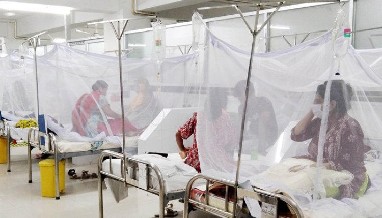 ডেঙ্গুতে একদিনে রেকর্ড ৩১২২ রোগী হাসপাতালে ভর্তি, ১৮ জনের প্রাণহানি