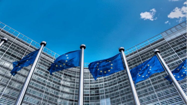 ইইউ পার্লামেন্টের প্রস্তাব পাশ, বাংলাদেশে যে প্রভাব পড়ার শঙ্কা