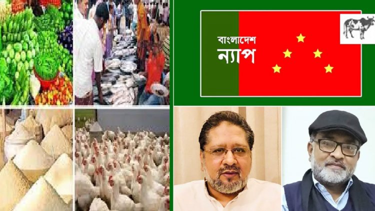 সরকার নিজেই সিন্ডিকেটের হাতে বন্দি : ন্যাপ