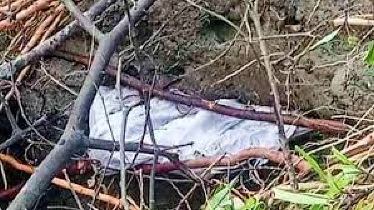 চাঁদপুরে কবর দেওয়ার ২৮ বছর পর মিলল অক্ষত লাশ