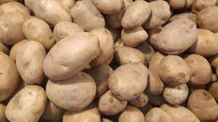 আড়তদাররা আলুর কৃত্রিম সংকট সৃষ্টি করছে