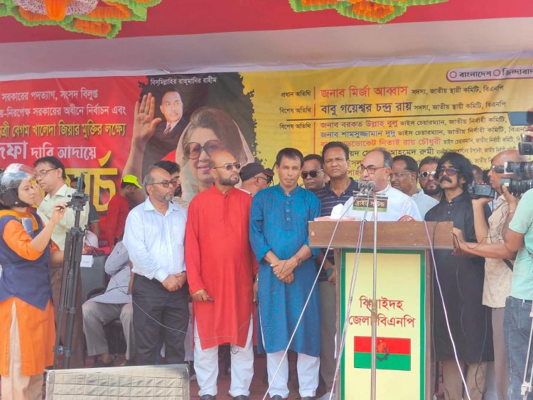 সরকারকে পদত্যাগে বাধ্য করে খালেদা জিয়াকে চিকিৎসার জন্য বিদেশে পাঠাবো: মির্জা আব্বাস 