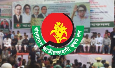 দুপুরে রাজধানীতে বিএনপির কৃষক সমাবেশ