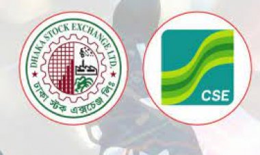 বিমার চমকে উত্থানে পুঁজিবাজার