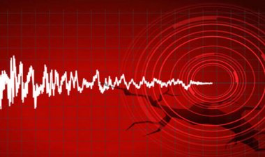 ঢাকাসহ বিভিন্ন স্থানে ভূমিকম্প অনুভূত