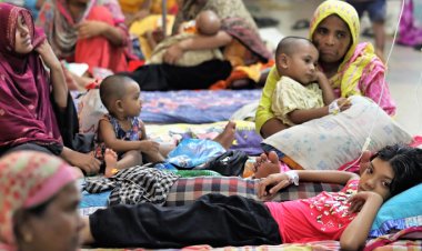 ডেঙ্গুতে একদিনে আরও ১১ প্রাণহানি, ২৫৯৬ রোগী হাসপাতালে ভর্তি