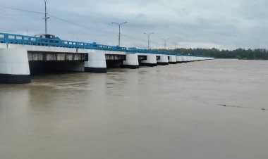 বিপৎসীমার ওপরে তিস্তার পানি, নদীপাড়ের মানুষকে সতর্ক করতে মাইকিং