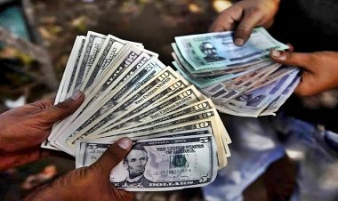 বাজারে ডলার এখন ১২০ টাকা