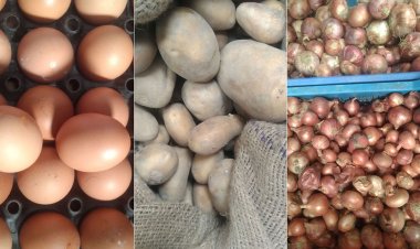 ‘একদিনও সরকারি দামে ডিম-আলু-পেঁয়াজ কিনতে পারিনি’