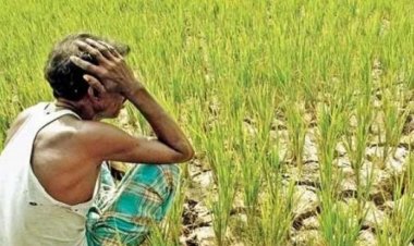 জ্বালানির তেলের দামে দিশেহারা কৃষক