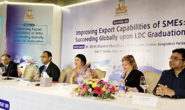 এসএমই বাঁচলে দেশ বাঁচবে: ডিসিসিআই সভাপতি