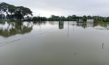 চার জেলায় ফসল ও মাছের খামারের ব্যাপক ক্ষতি