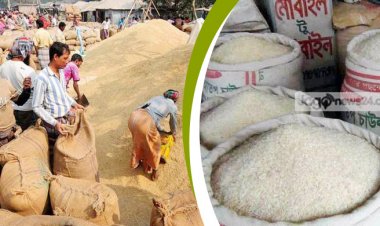 আমন: ৪৪ টাকায় চাল, ৩০ টাকা দরে ধান কিনবে সরকার